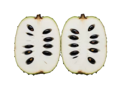 Imagen PNG para descargar